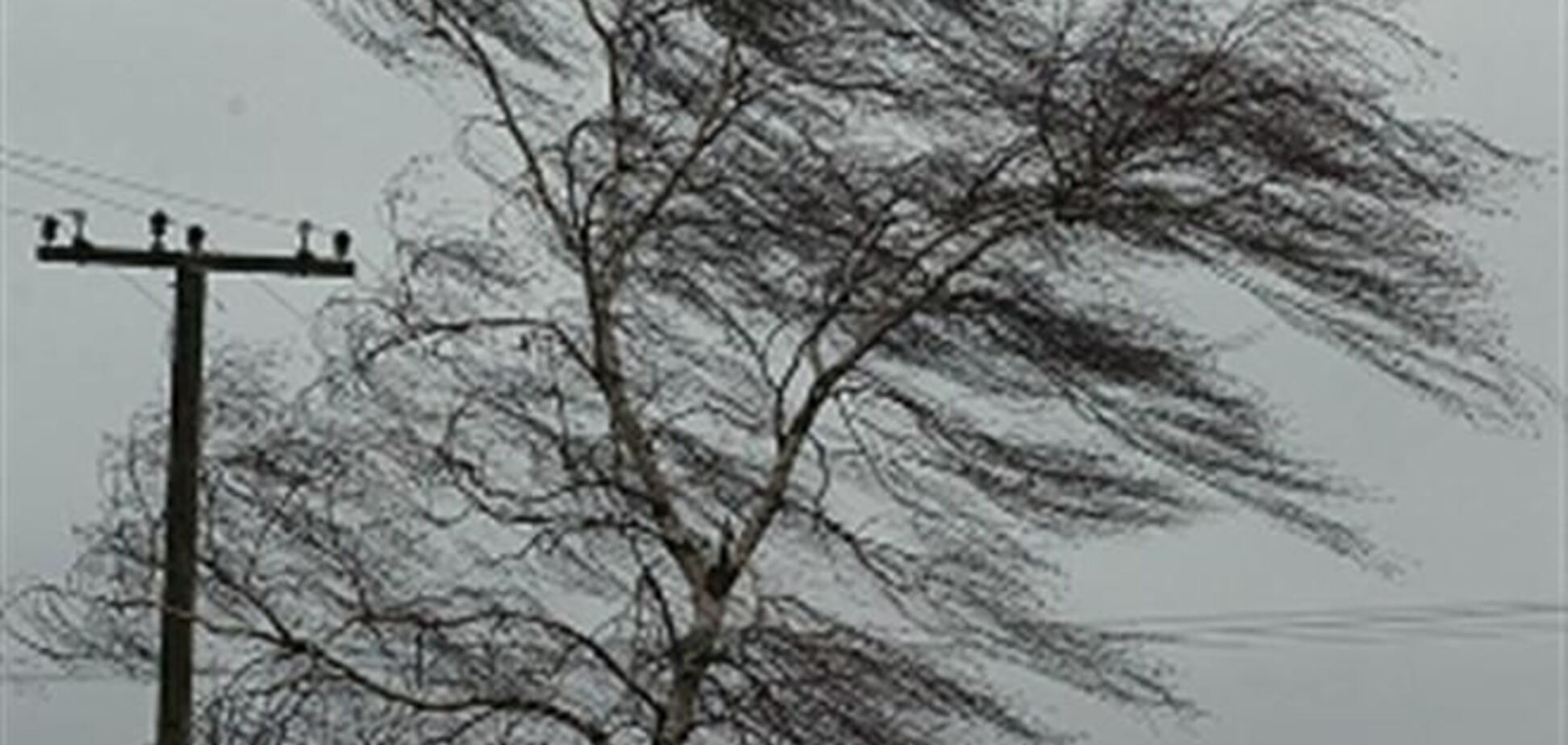 В Киеве ожидается сильный ветер, ГосЧС просит закрывать окна