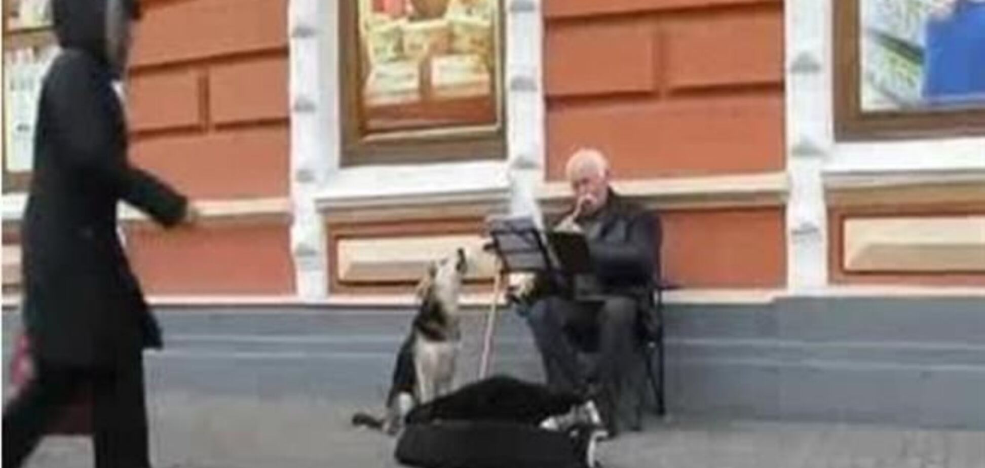 Бродячий пес своим пением помог уличному музыканту из Днепропетровска подзаработать