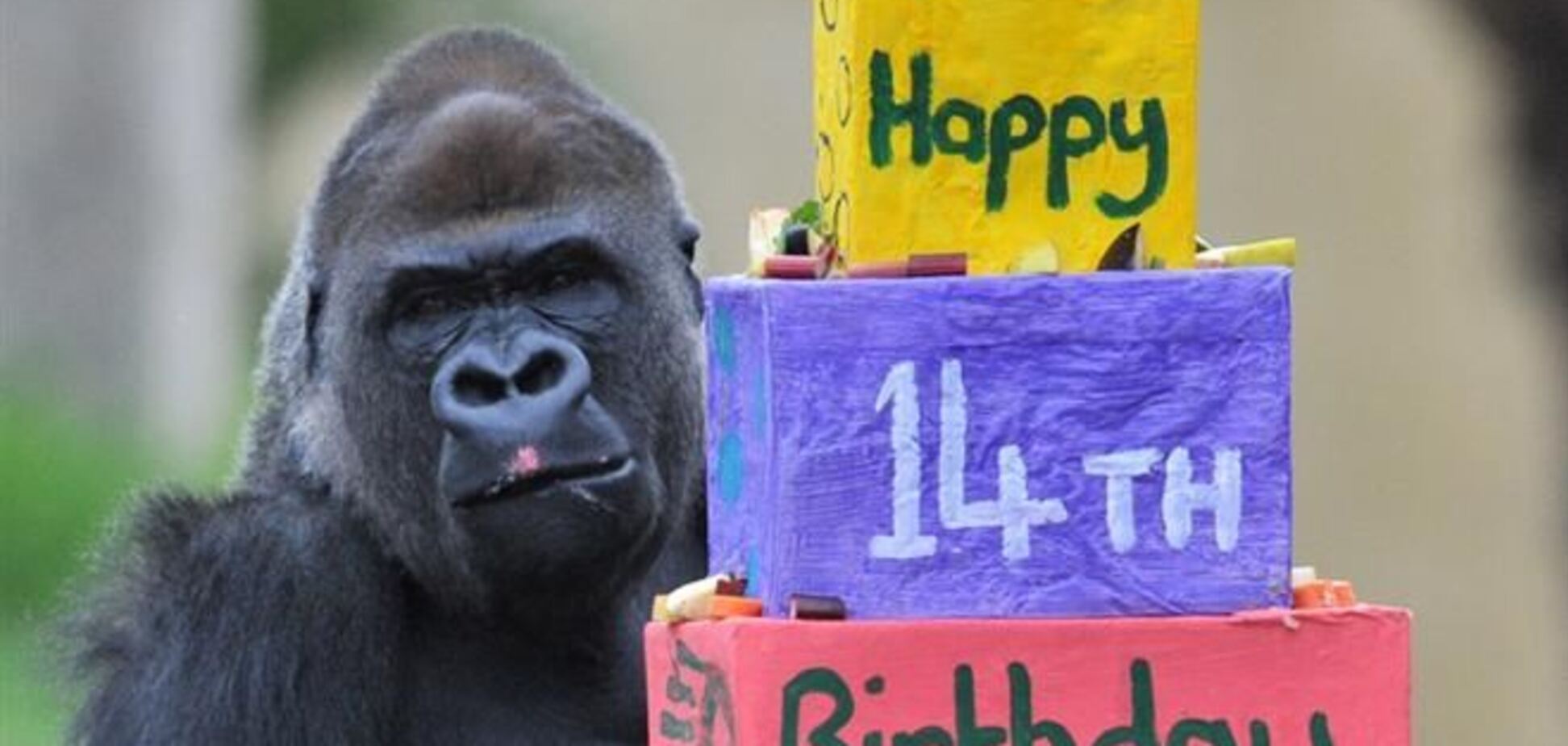 ОБОЗ.TV: 28 ноября за одну минуту