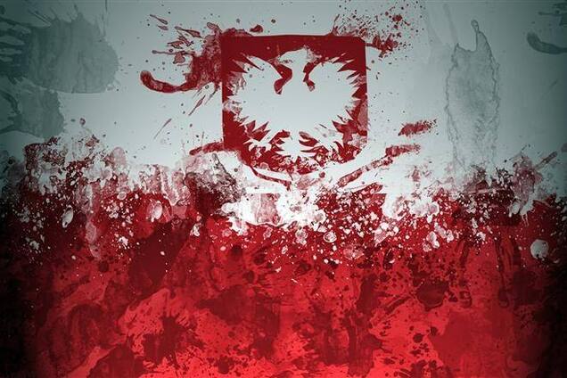 Польский МИД возмущен разгоном участников Евромайдана