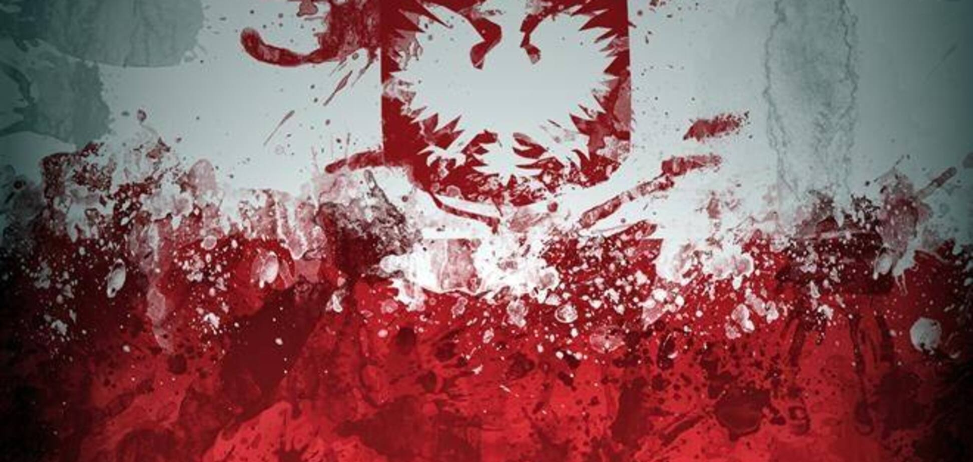 Польський МЗС обурений розгоном учасників Евромайдана