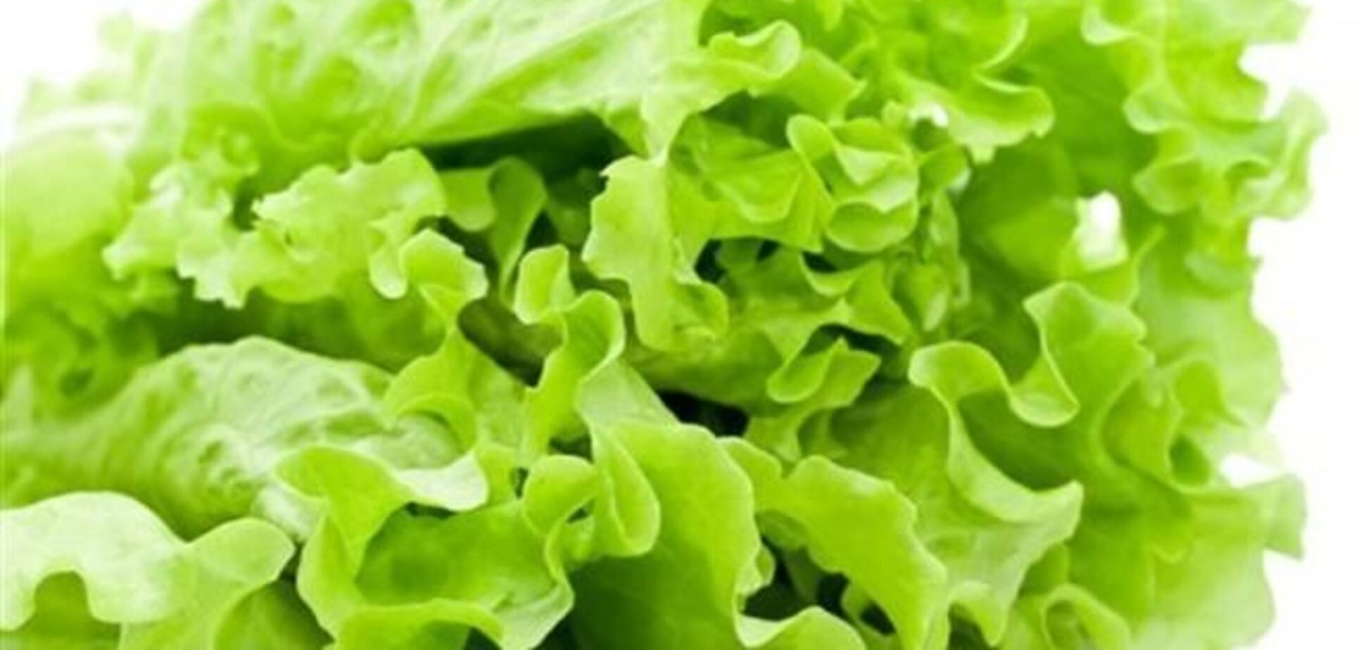 В зеленом салате прячется средство от рака