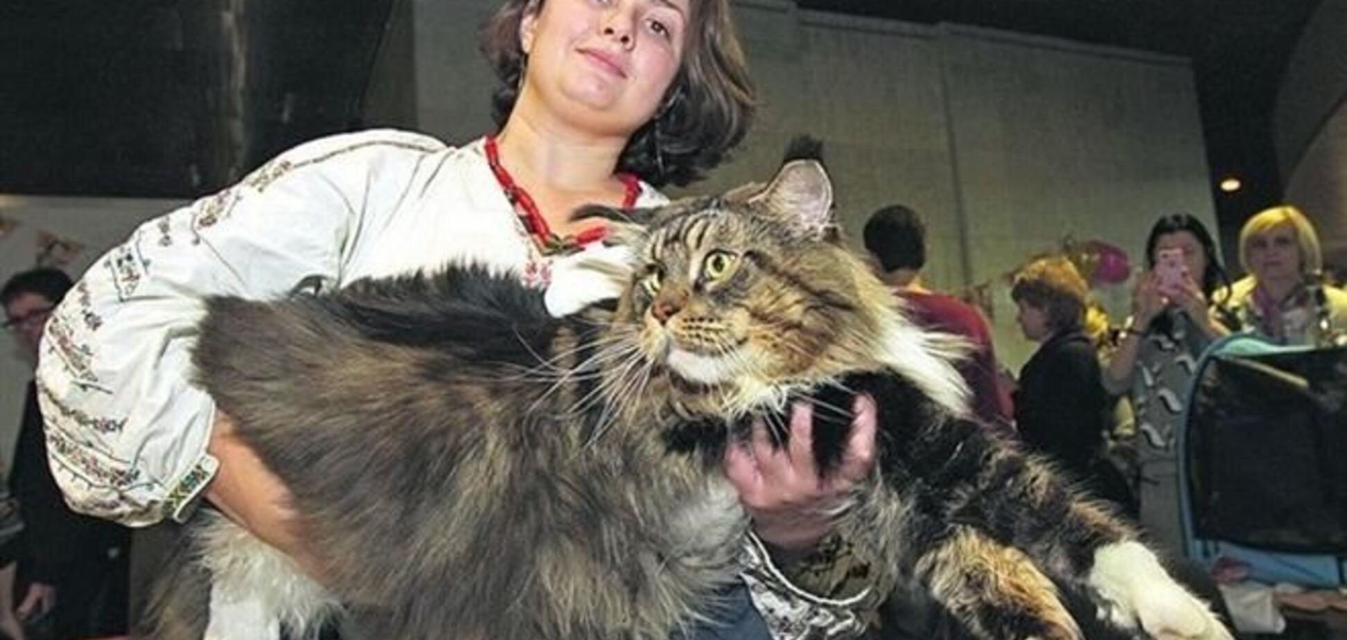 В Киеве выбрали самого большого кота 