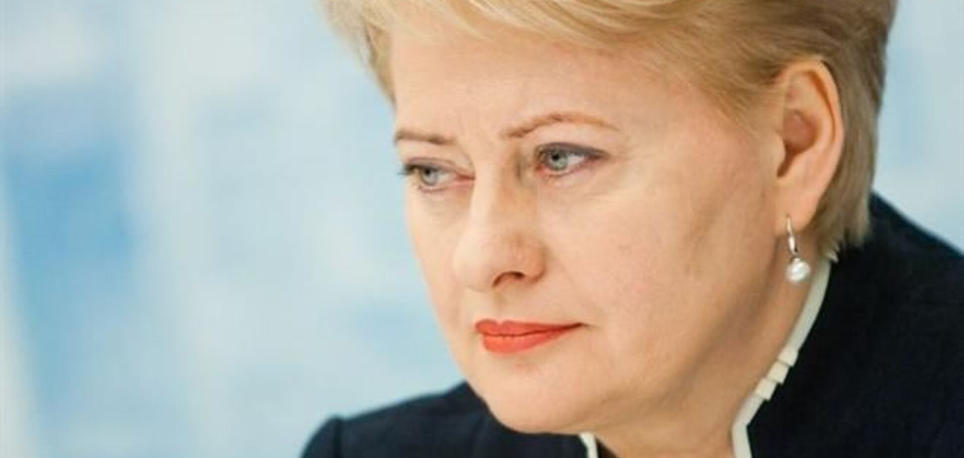 Глава Литвы рассказала о сроках решения судьбы Ассоциации с Украиной