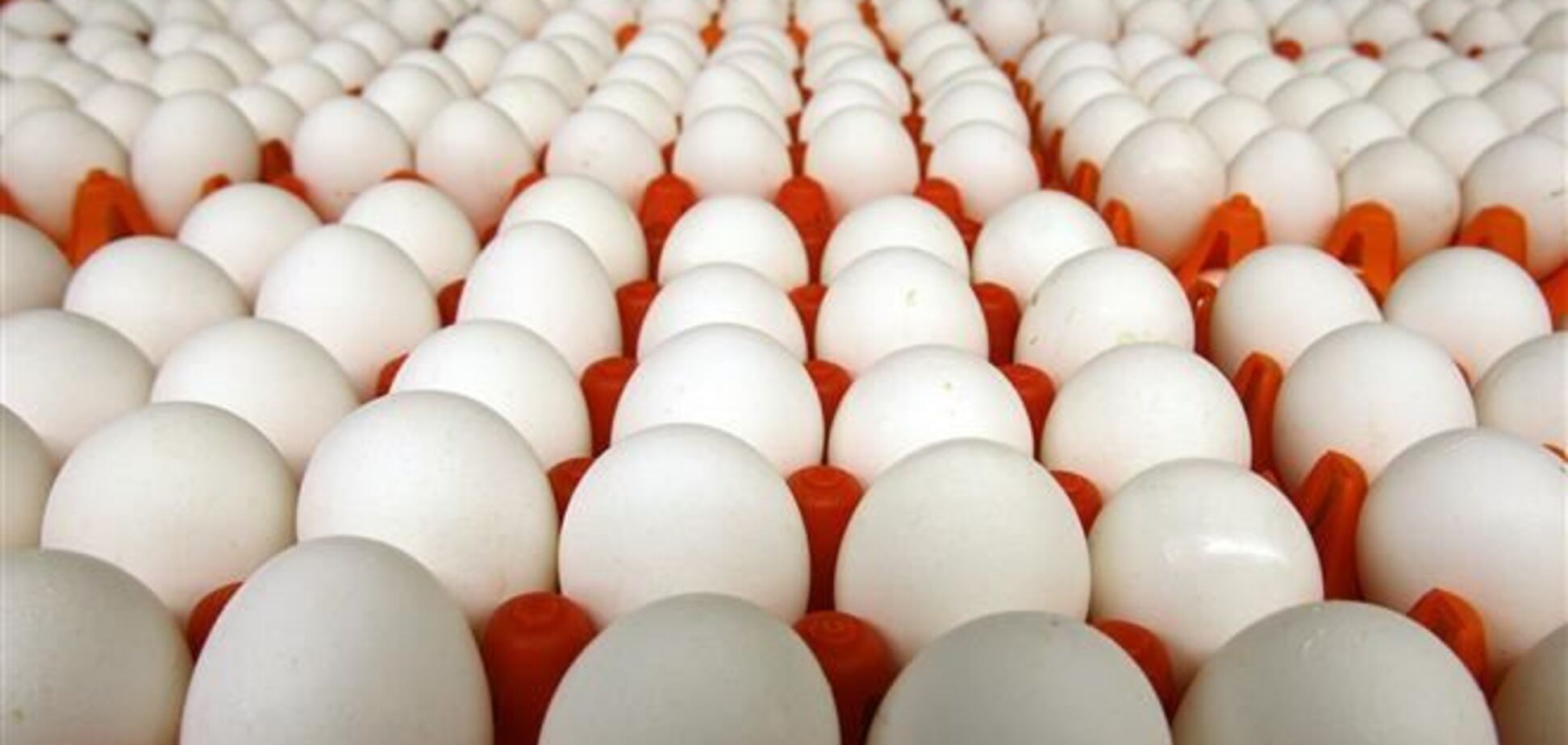 Китайская биржа будет торговать яйцами