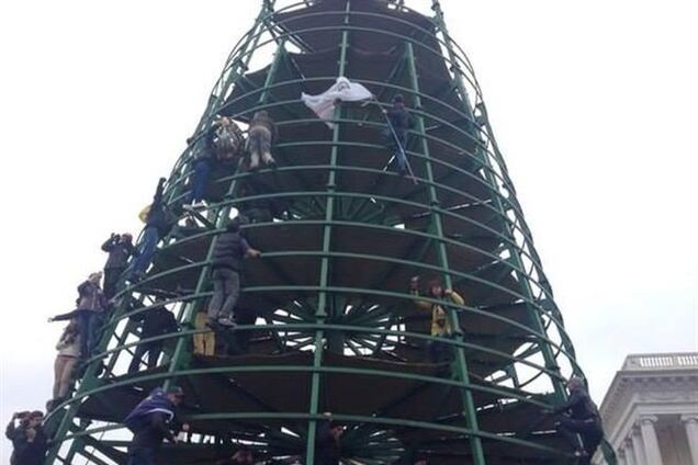 Митингующие вылезли на елку и повесили на ней флаг ЕС