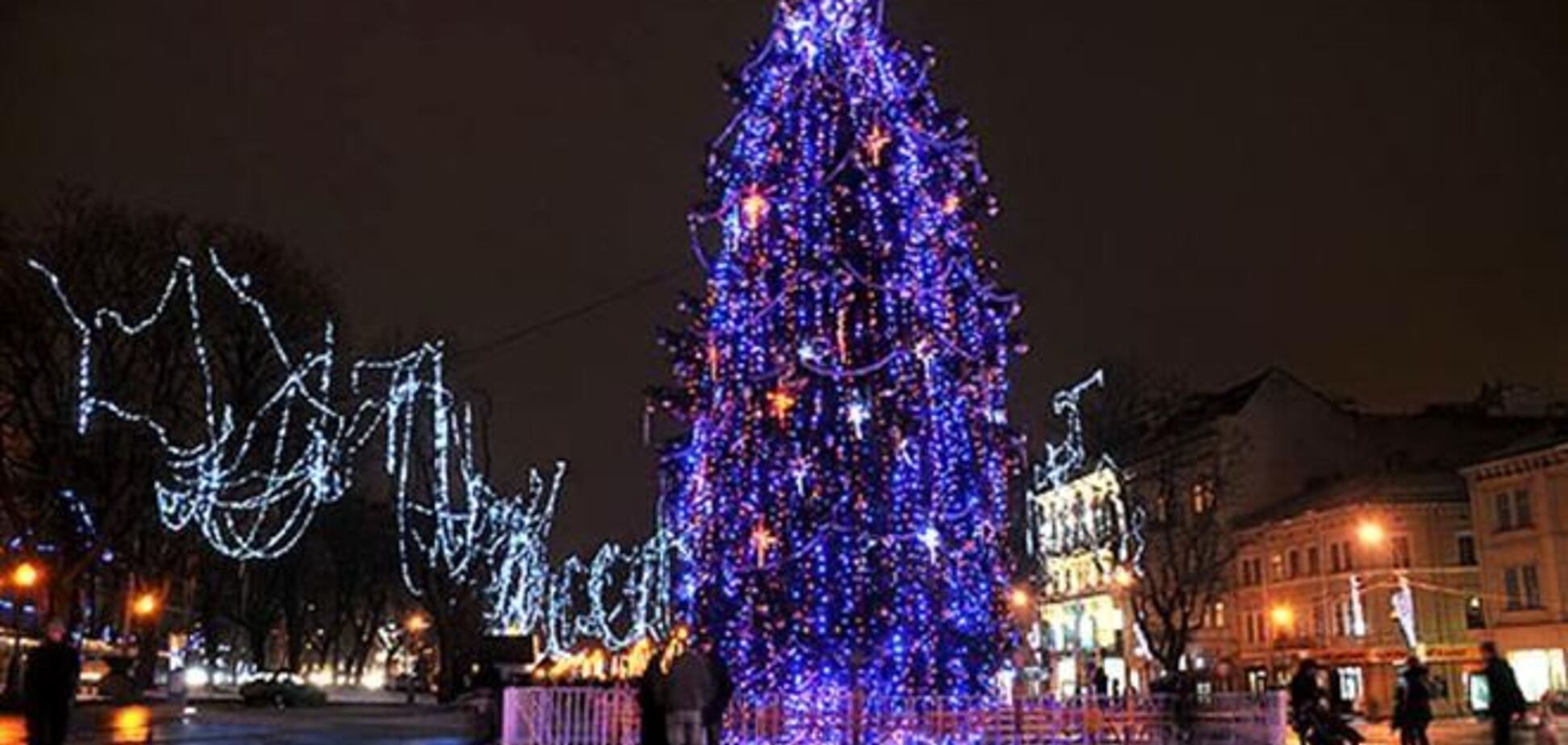 Новогоднюю елку во Львове сделают европейской