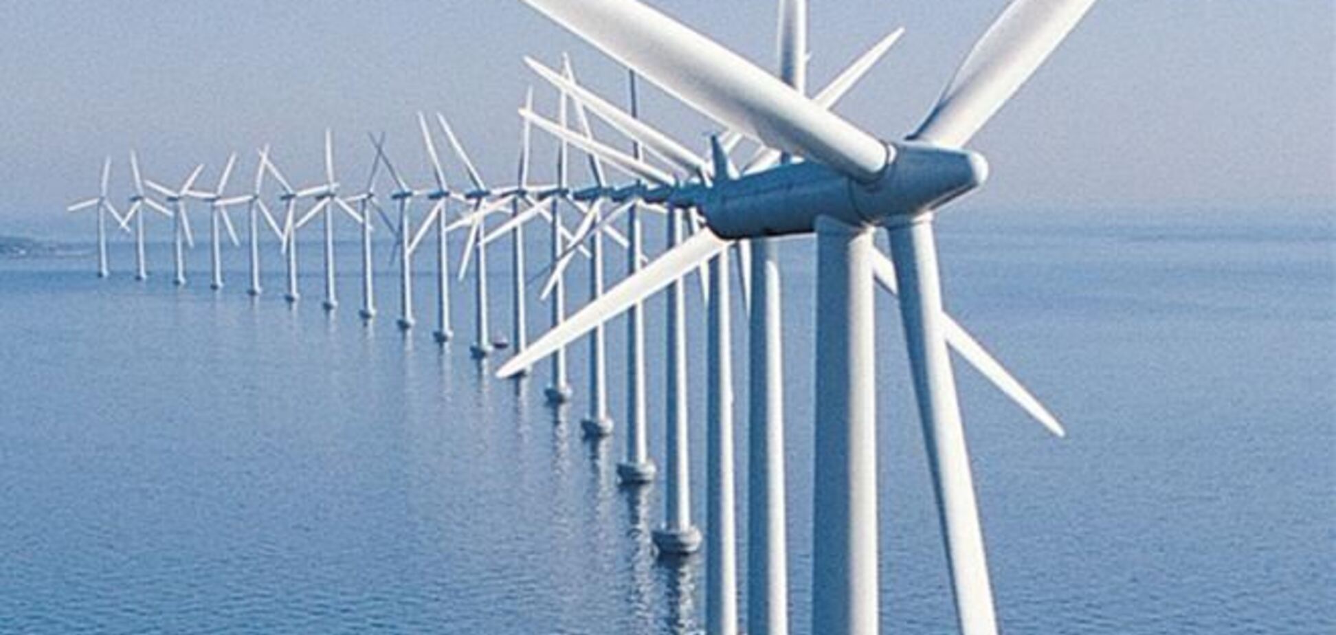 Гигантские акулы убивают планы шотландских ветровых компаний