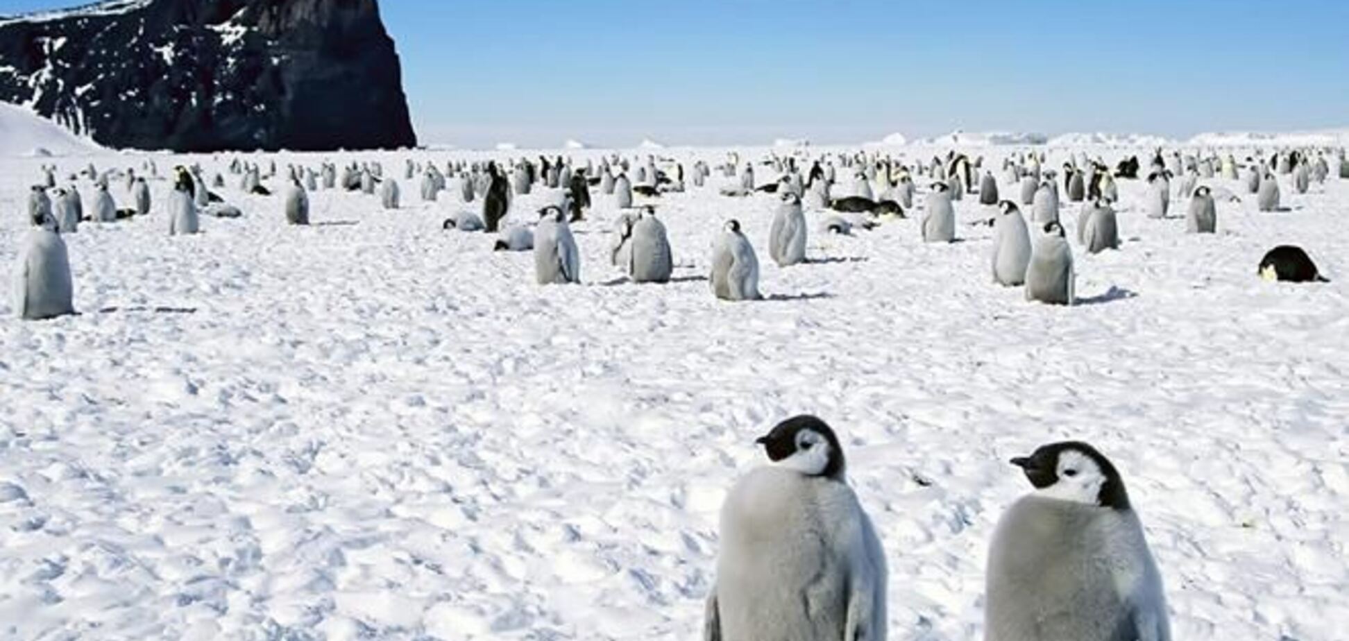 На 'полюсе холода' похолодало на четыре градуса