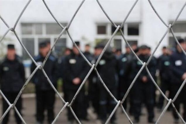 В России амнистировали участниц Pussy Riot и экипаж Arctic Sunrise