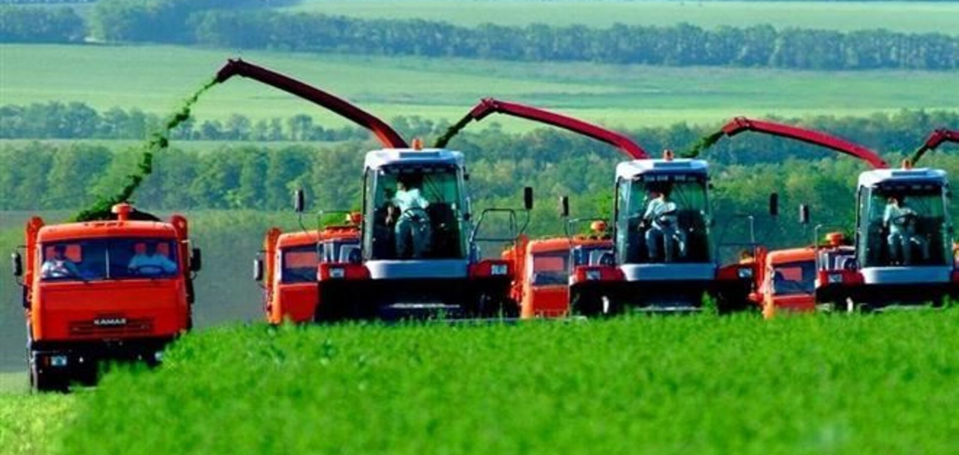 Аграрии Одесской, Николаевской и Кировоградской областей нарастили производство на треть