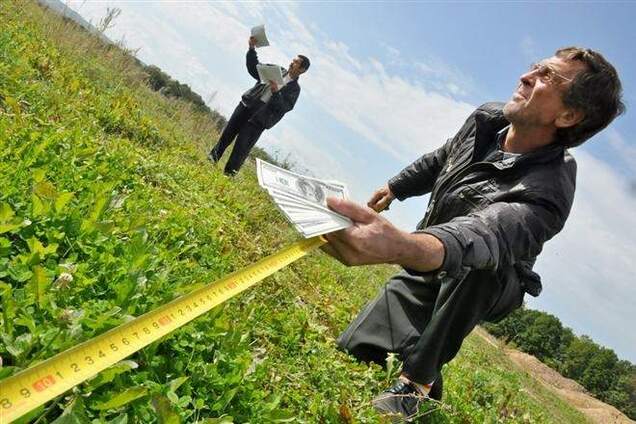 Нардеп считает справедливым повышение минимального размера аренды земли в 3 раза