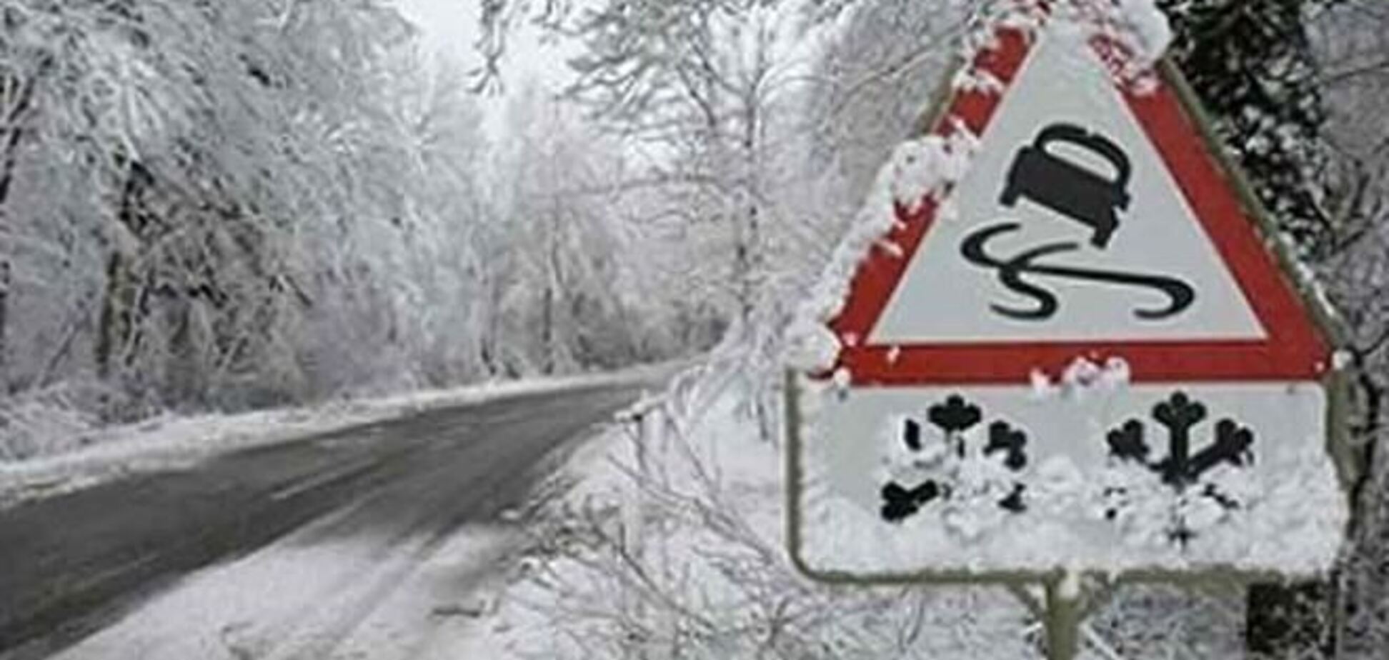 На Черниговщине микроавтобус с белорусами перевернулся в кювет