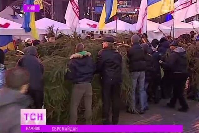 На Евромайдан привезли 14-метровую елку