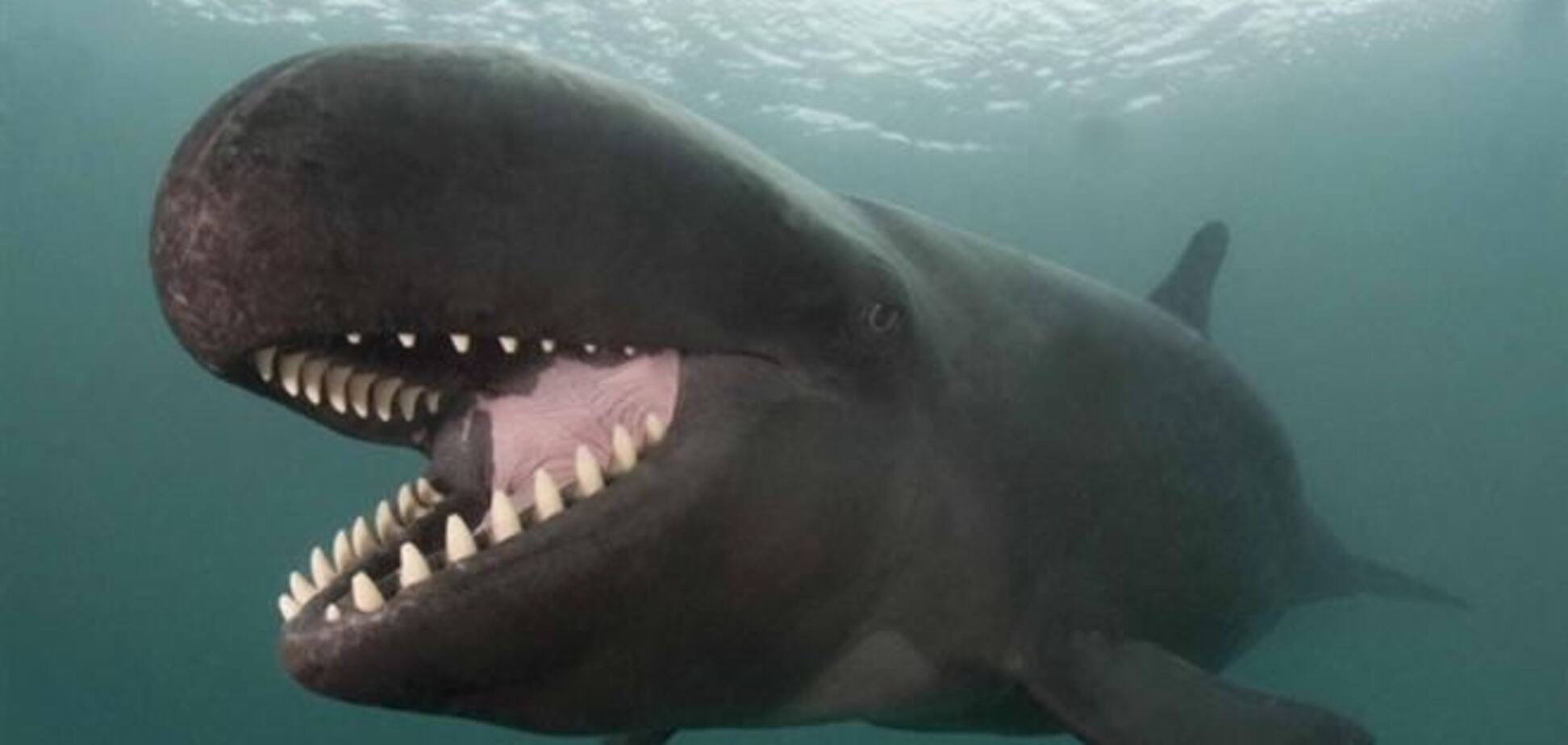 Фотографії, які потрясли світ у 2013 році