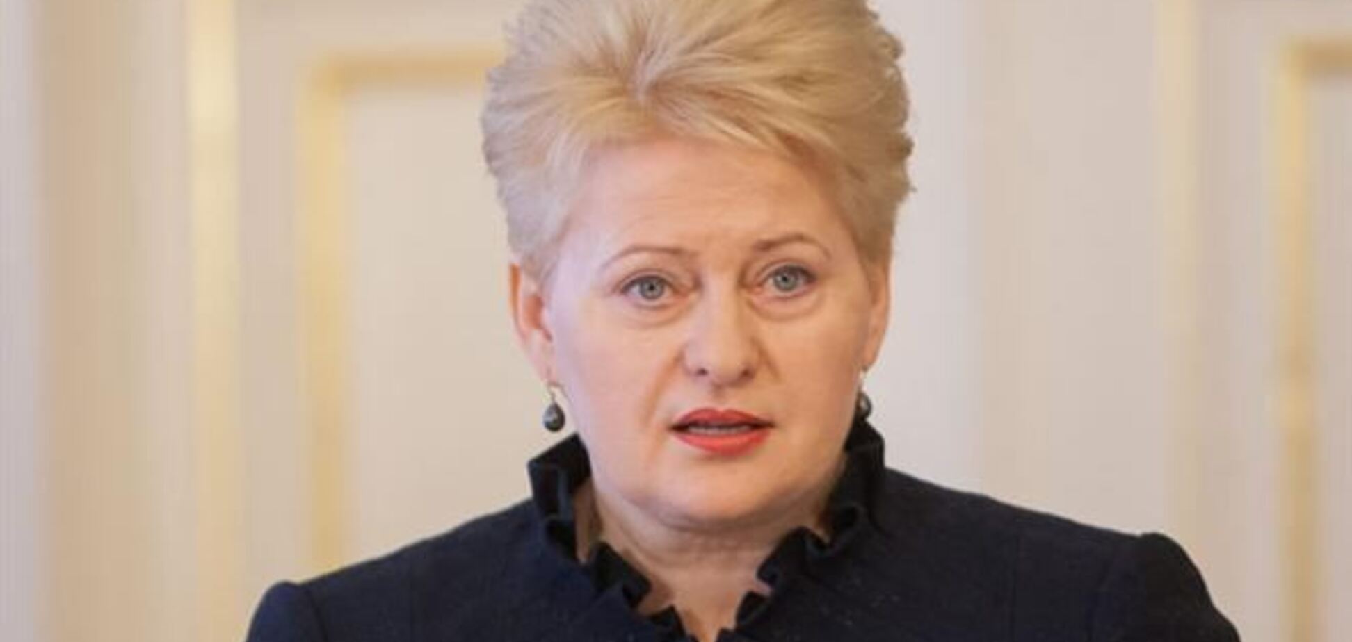 Глава Литви: Європа відкрита для українського народу, а не уряду 