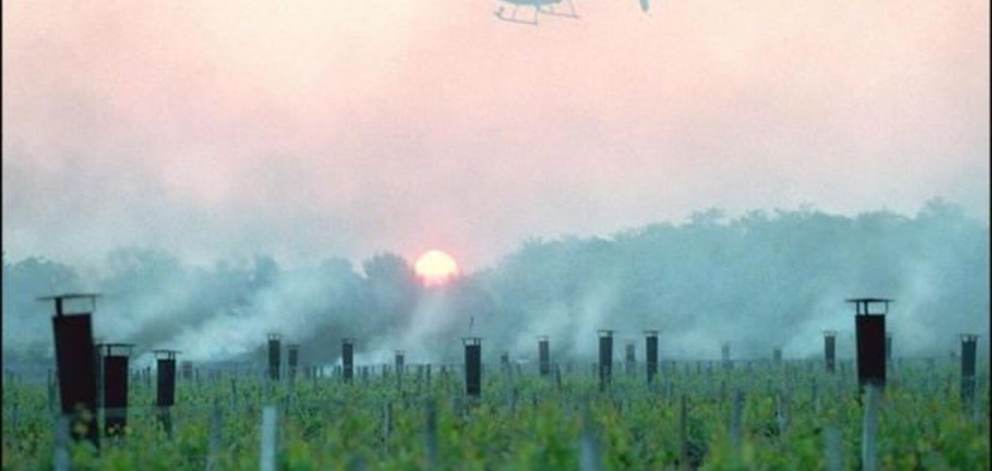 У Франції відновили пошуки зниклого після авіакатастрофи мільярдера