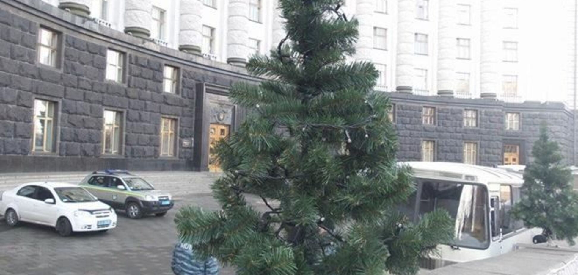 Возле Кабмина поставили елки, каждую из которых охраняет по пять милиционеров