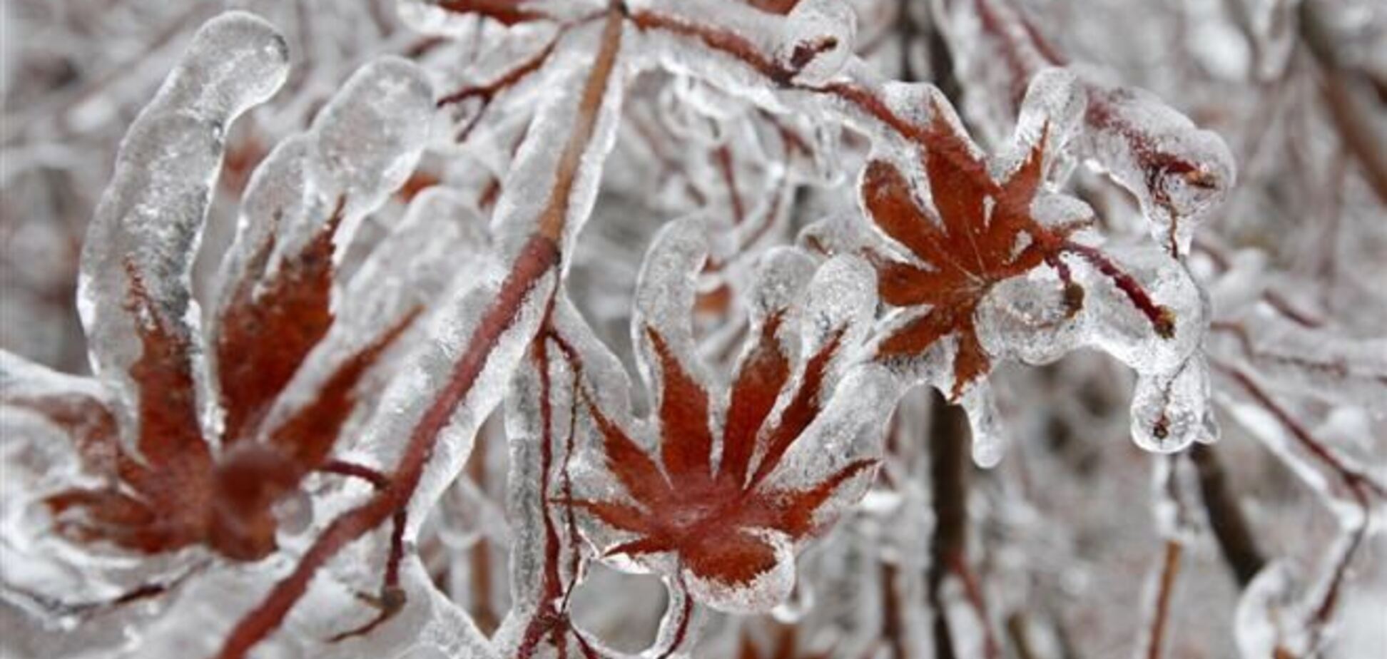 Ледяной шторм в Канаде