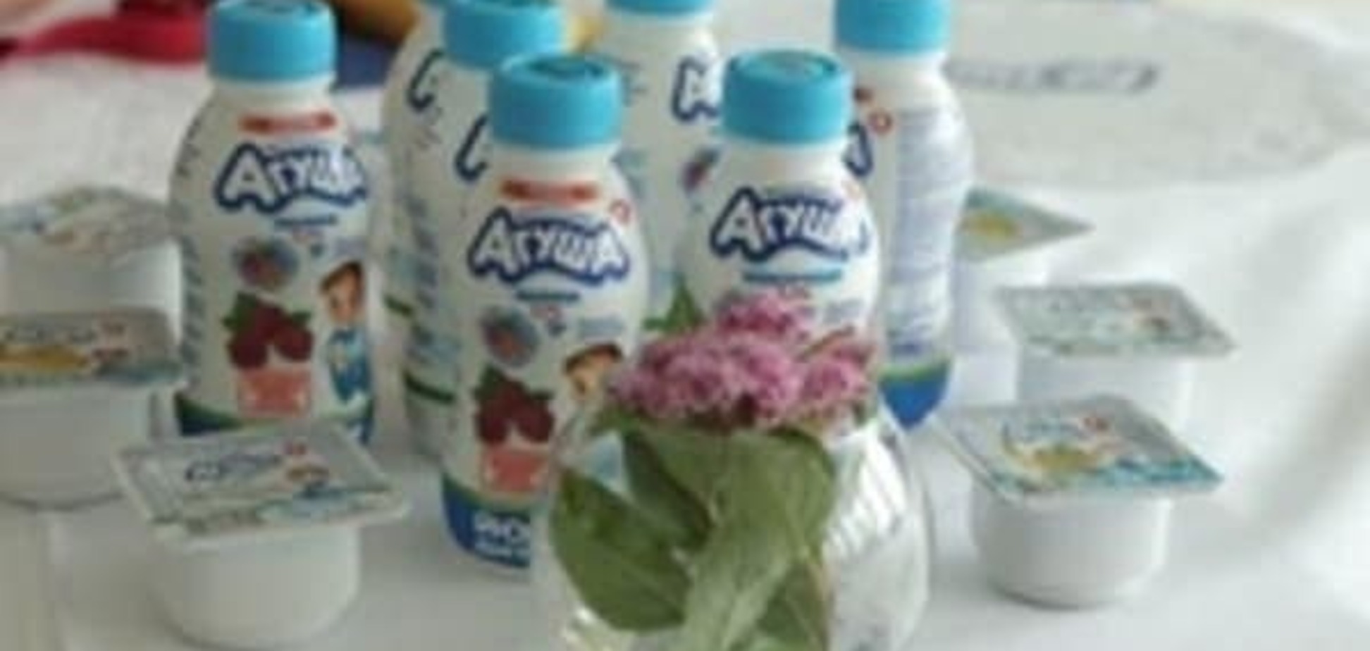 «Агуша» принимает гостей