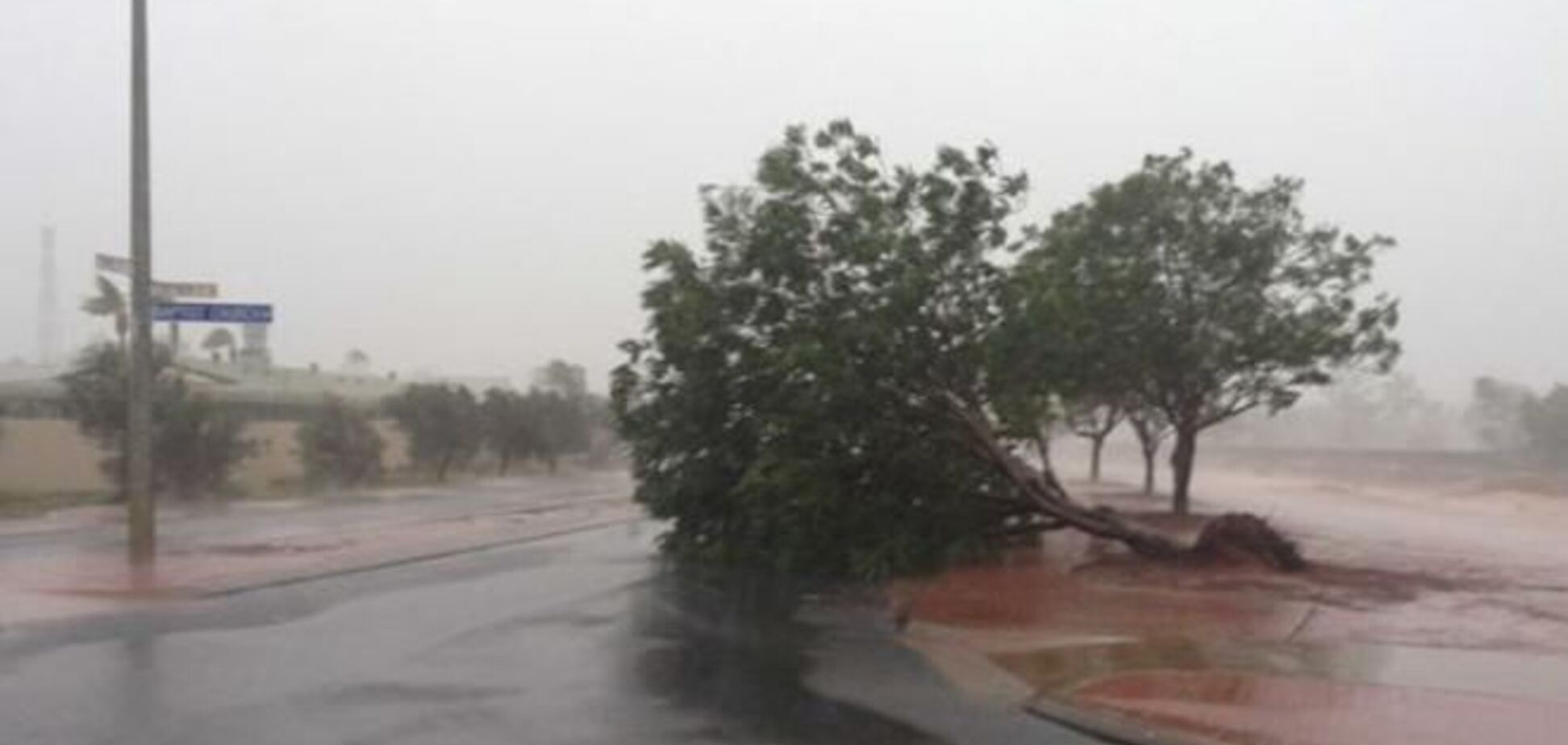 Циклон в Австралії з коренем вириває дерева і зриває дахи