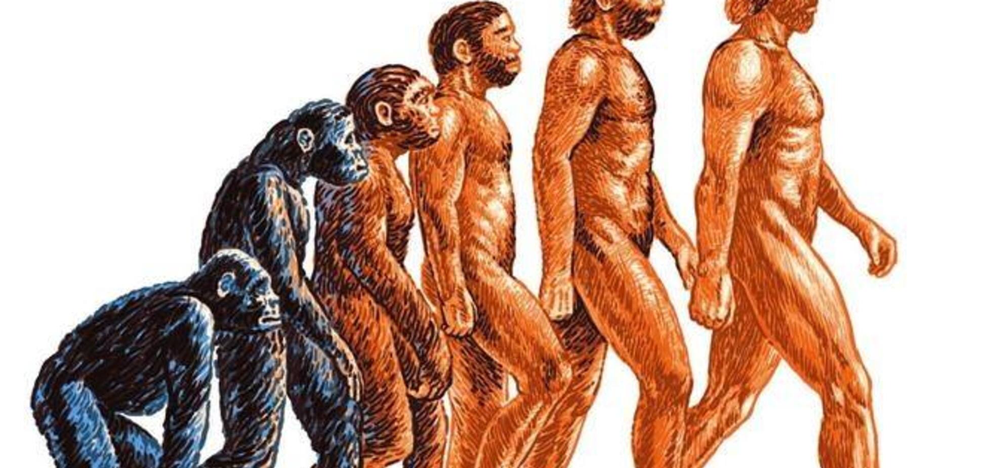 Третина американців відкидає стосовно людини теорію еволюції