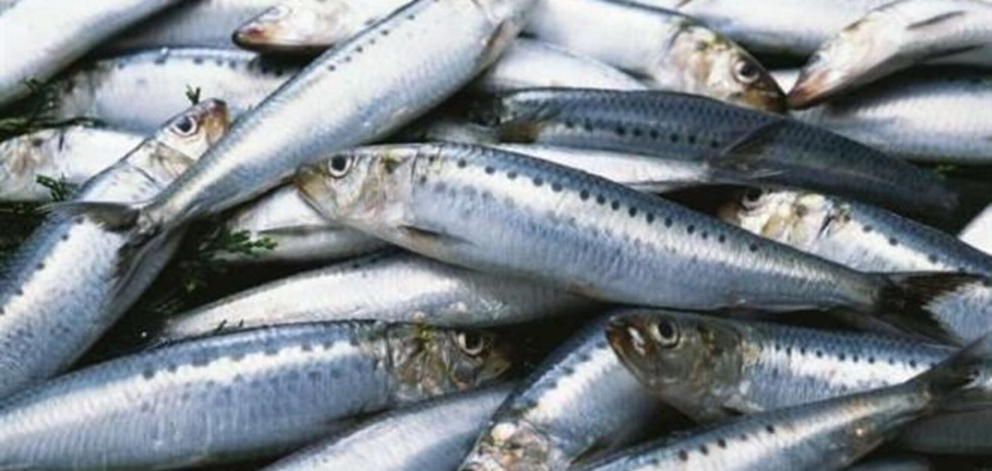 Росія забороняє ввезення риби з Норвегії з 1 січня