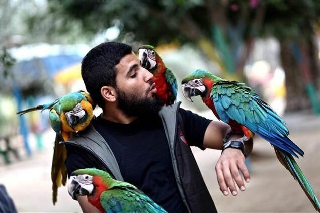 У світі тварин