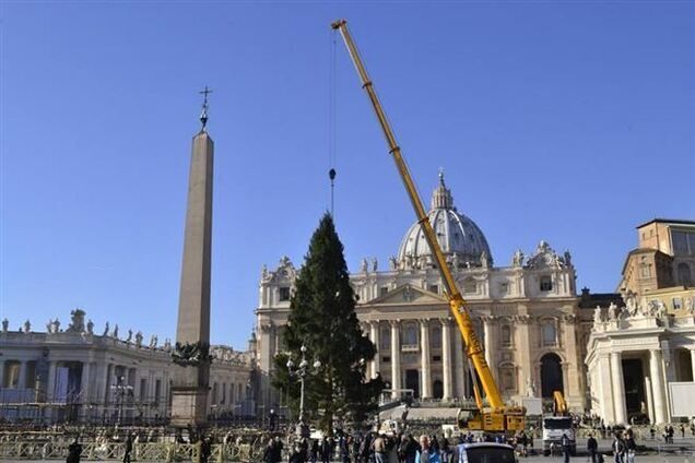 В Ватикане устанавливают рождественскую елку