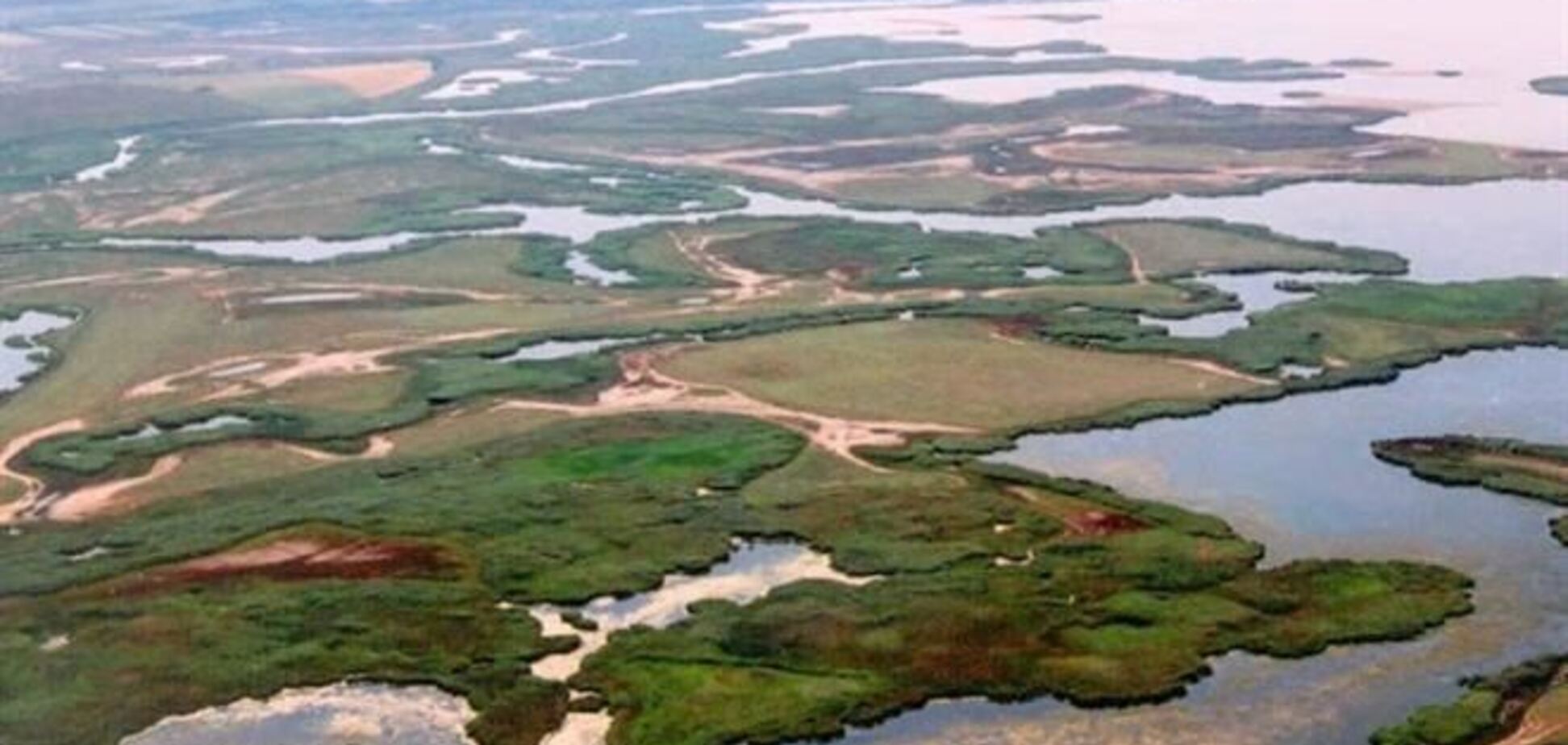 На Одещині горів Дунайський заповідник