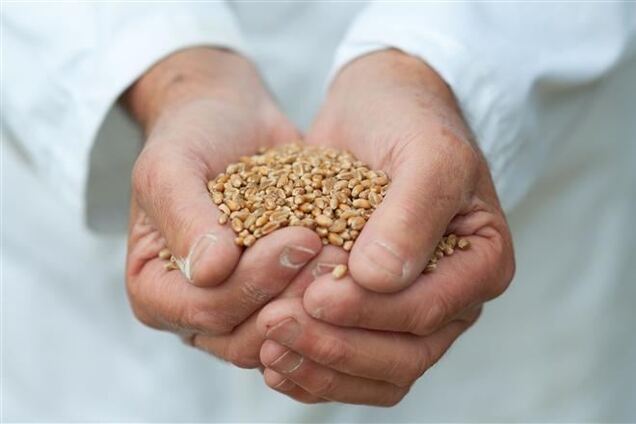 Госпредпринимательства выступает за отмену двойной сертификации качества зерна