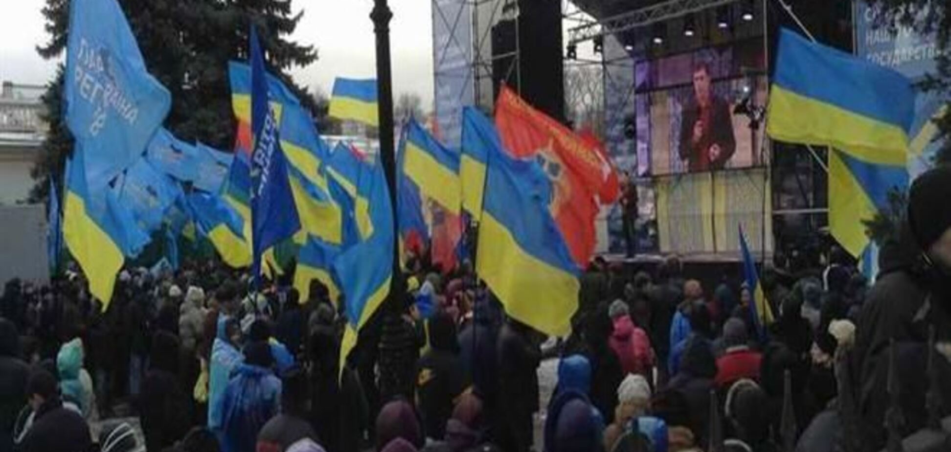 Партия регионов насчитала на своем митинге 15 тысяч активистов