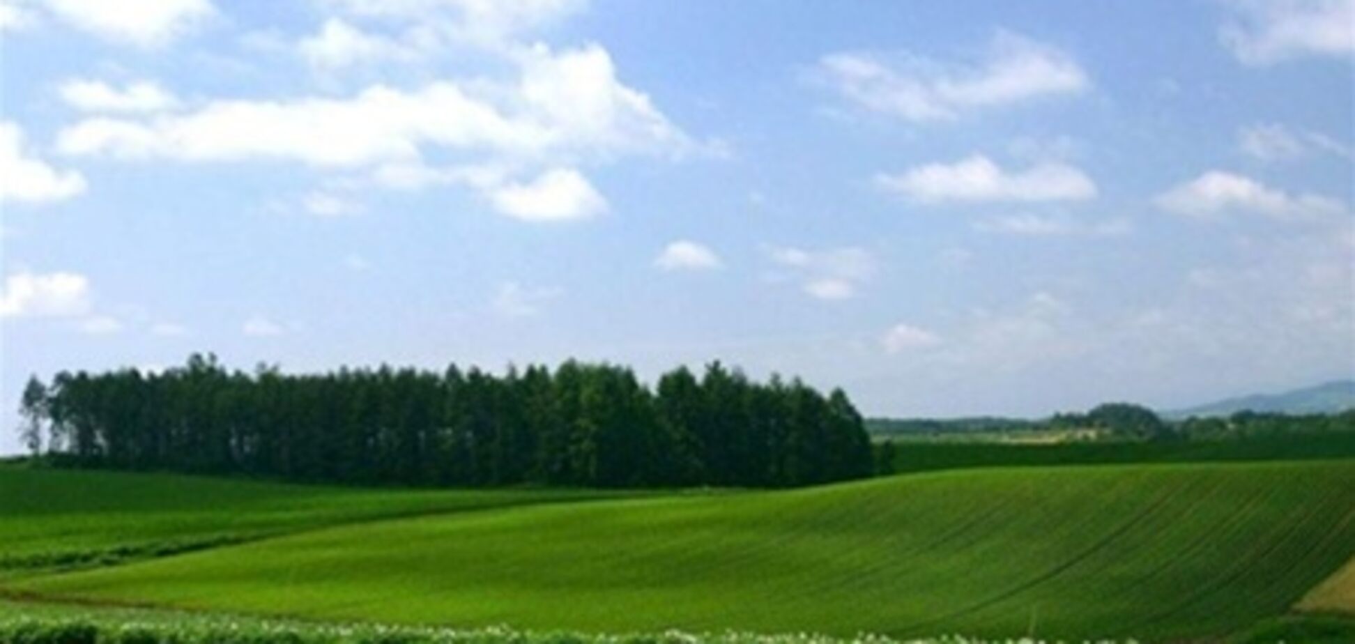 Земля под Киевом за неделю подорожала до $3 141 за сотку