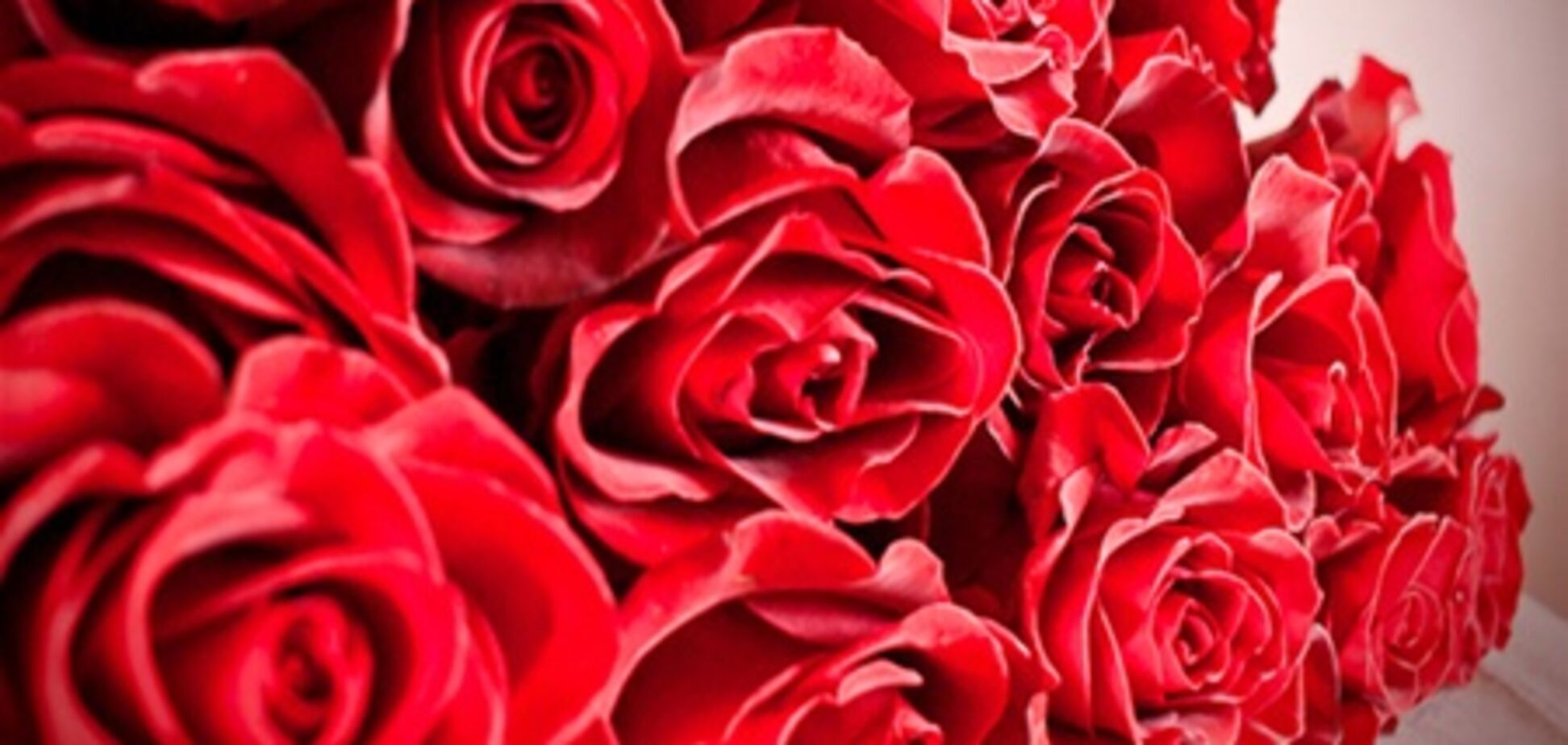 Сегодня продажи цветов в Европе выросли на 50%