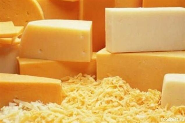 В украинских сырах нашли кишечную палочку