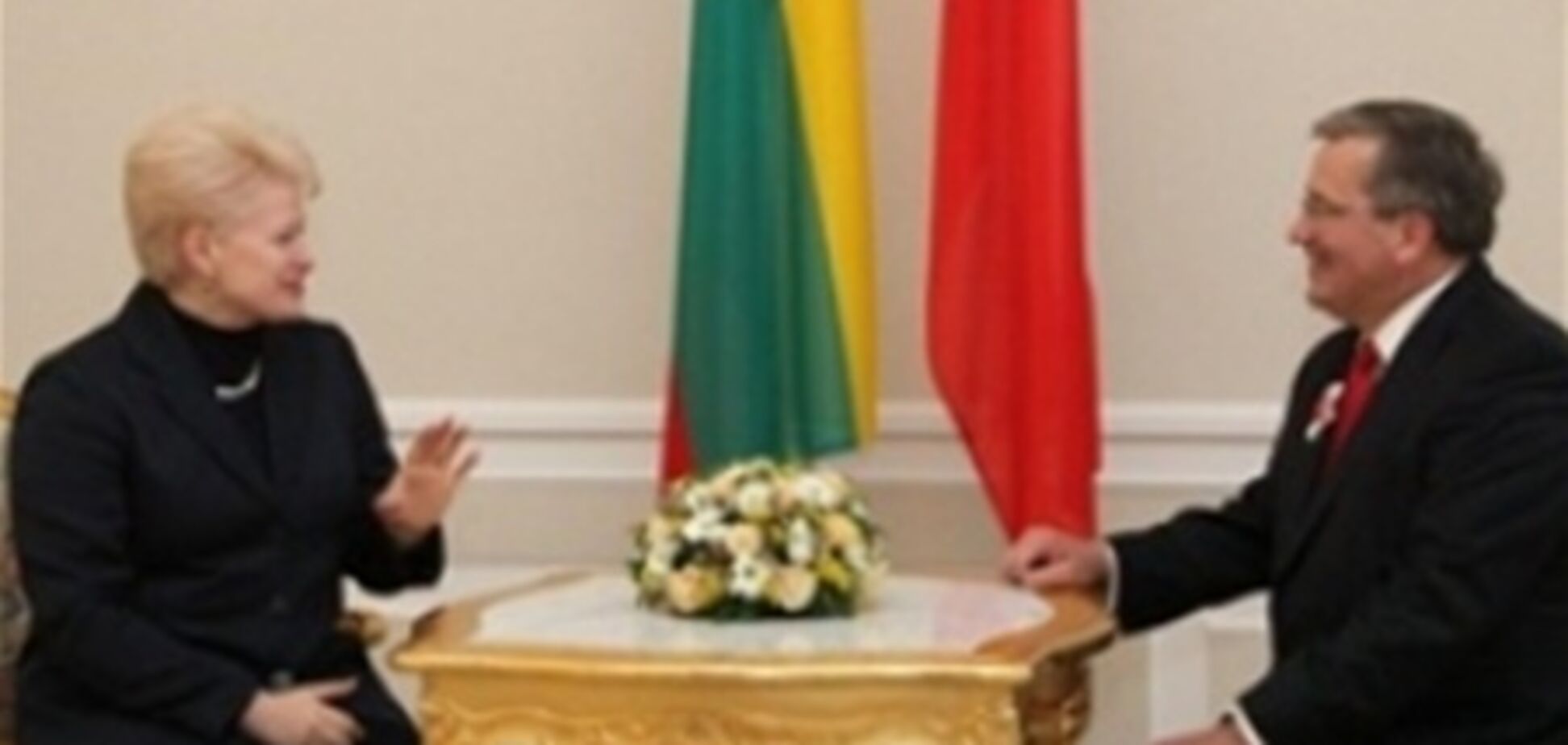 Президенты Польши и Литвы обсудили судьбу Украины в ЕС