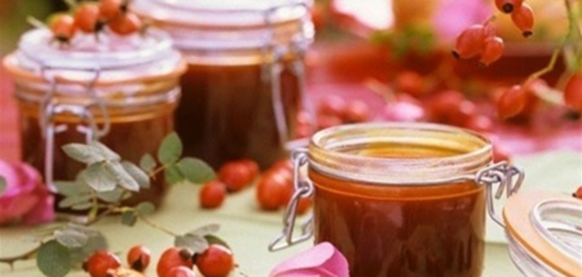 Желе из шиповника