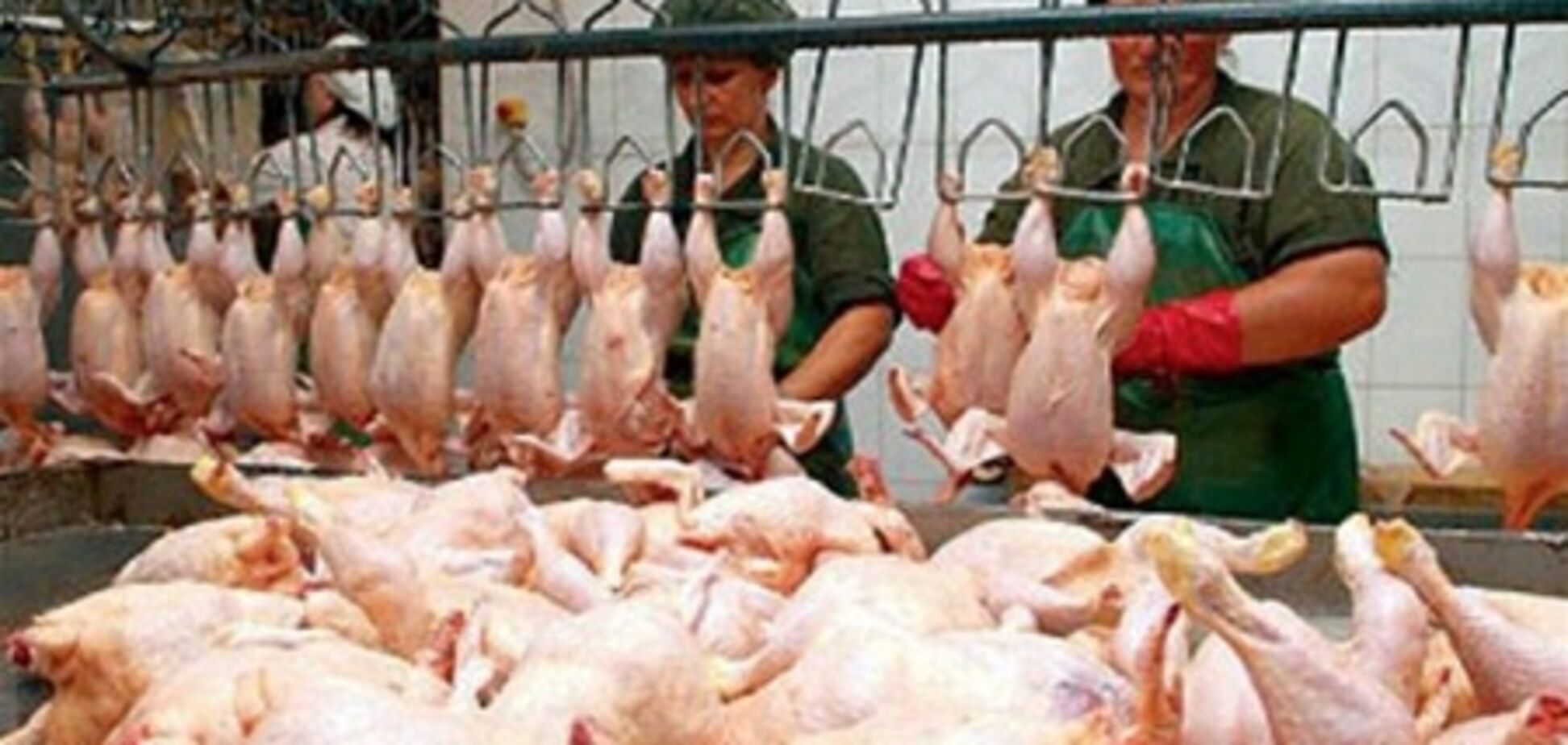 Украина получила право на экспорт курятины в ЕС