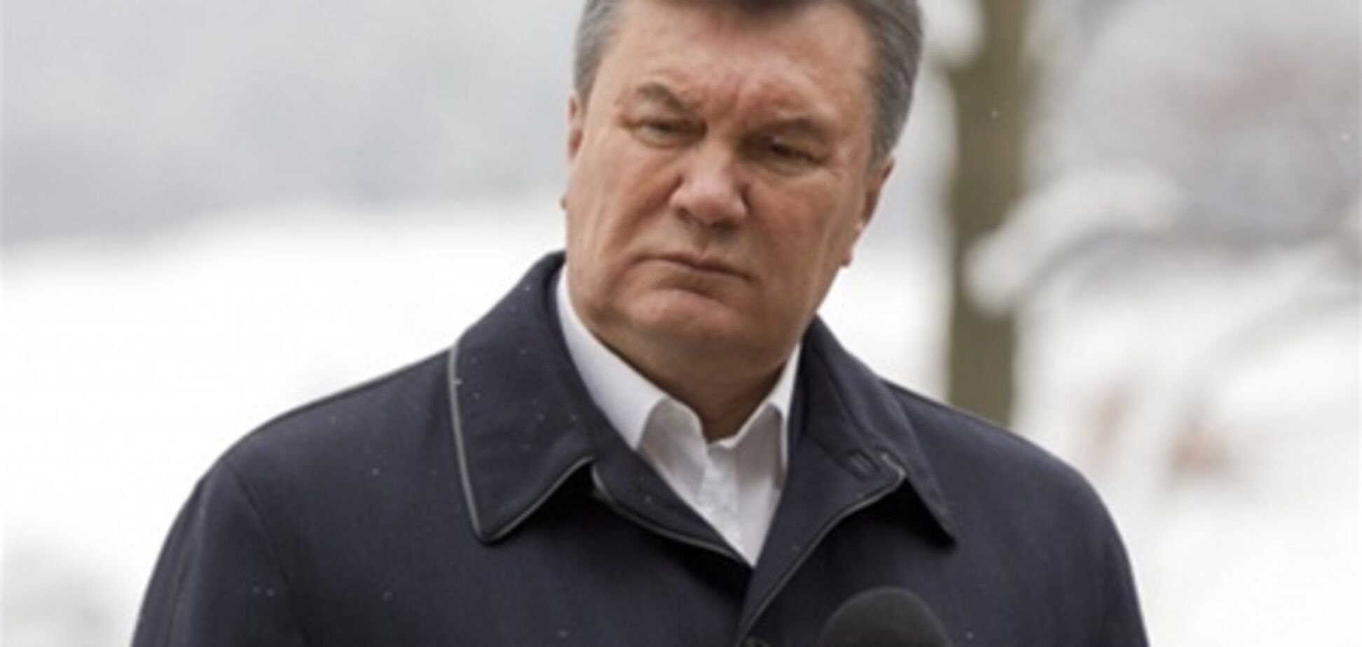 Янукович признал необходимость компромисса по Тимошенко