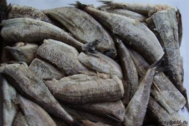 Разведчики Украины закупают рыбу, пораженную личинками