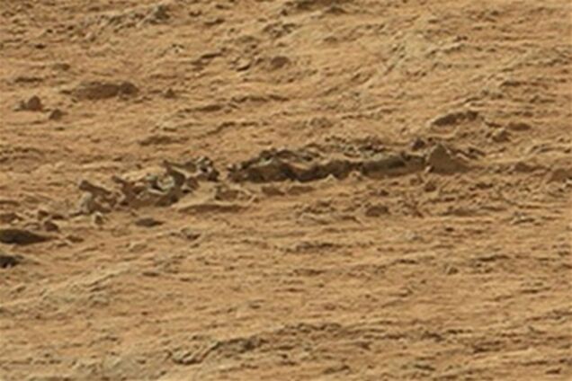 На Марсе нашли скелет животного. Видео