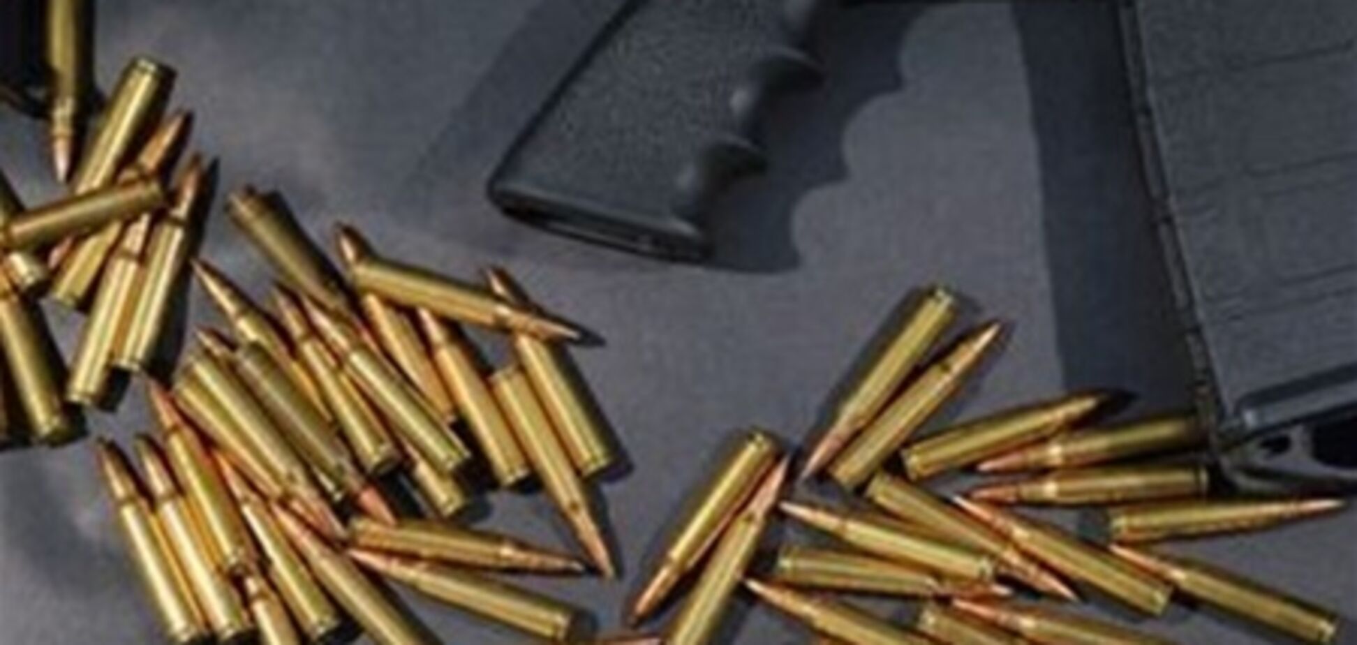 Полиция Москвы изъяла у безработного свыше ста единиц оружия