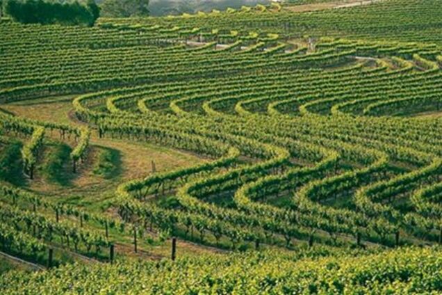 Власти Киева возобновляют продажу земли