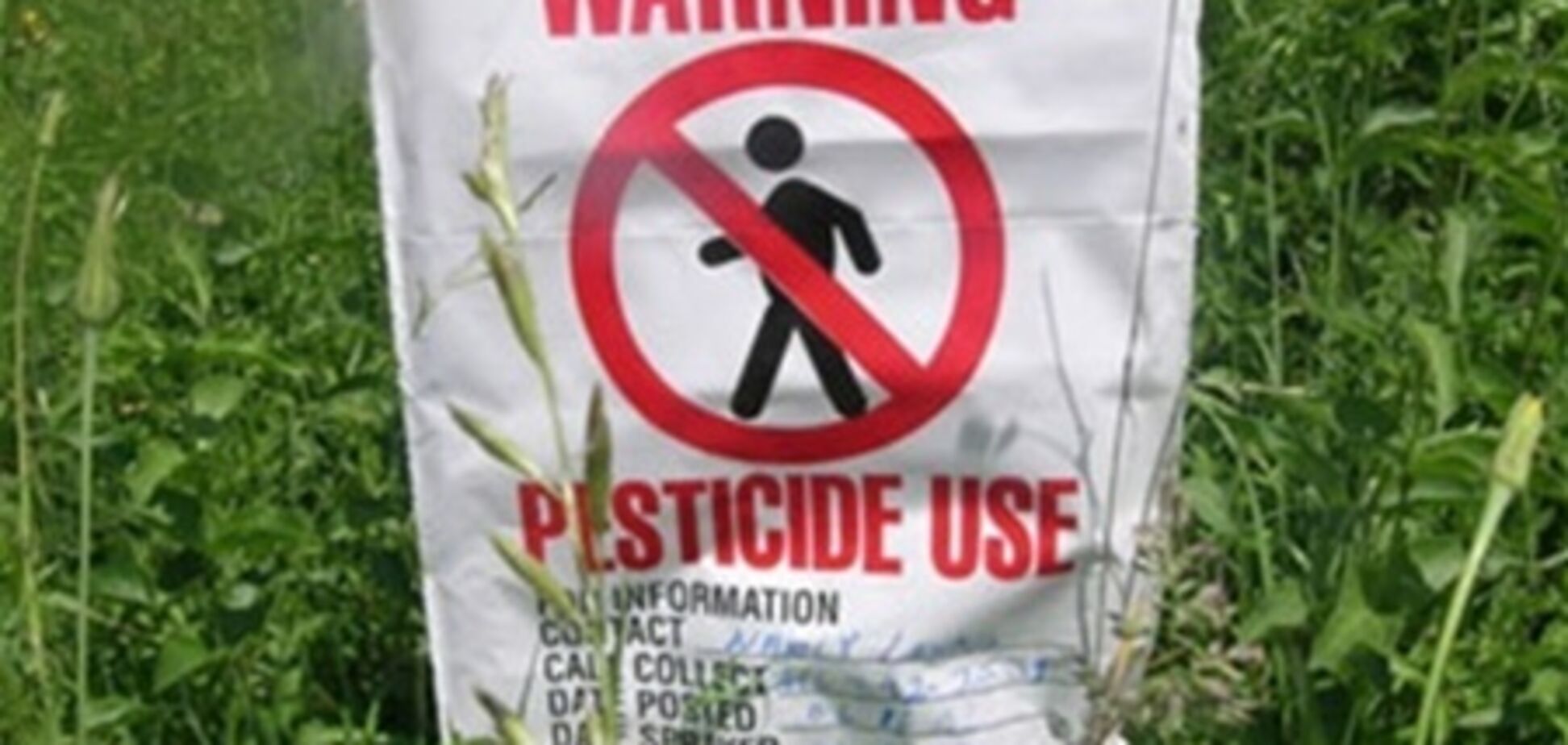 Волынские таможенники спасли Европу от отравления пестицидами