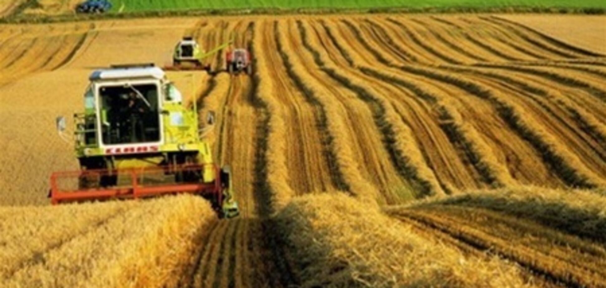 Сельхозкооперация разовьет социнфраструктуру на селе - министр