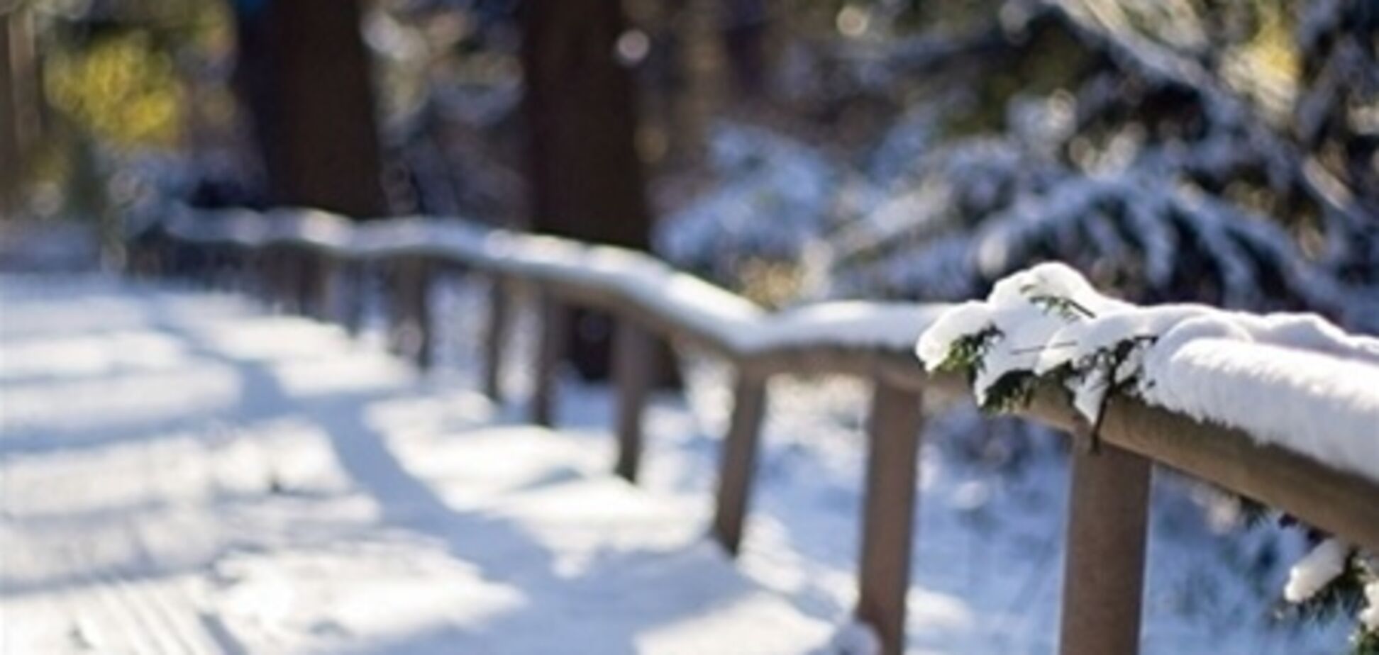 Синоптики рассказали о погоде до конца недели