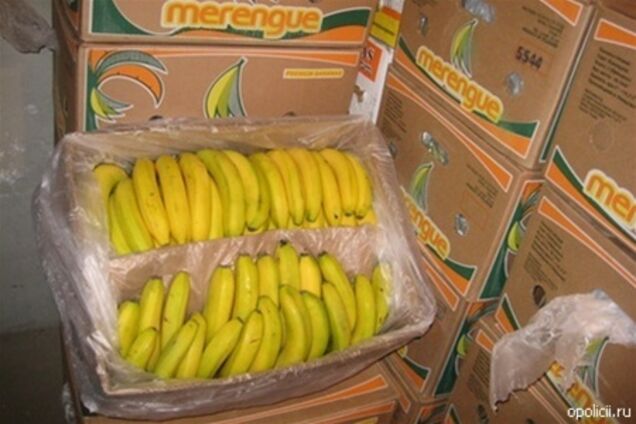 В бельгийские супермаркеты завезли бананы с кокаином
