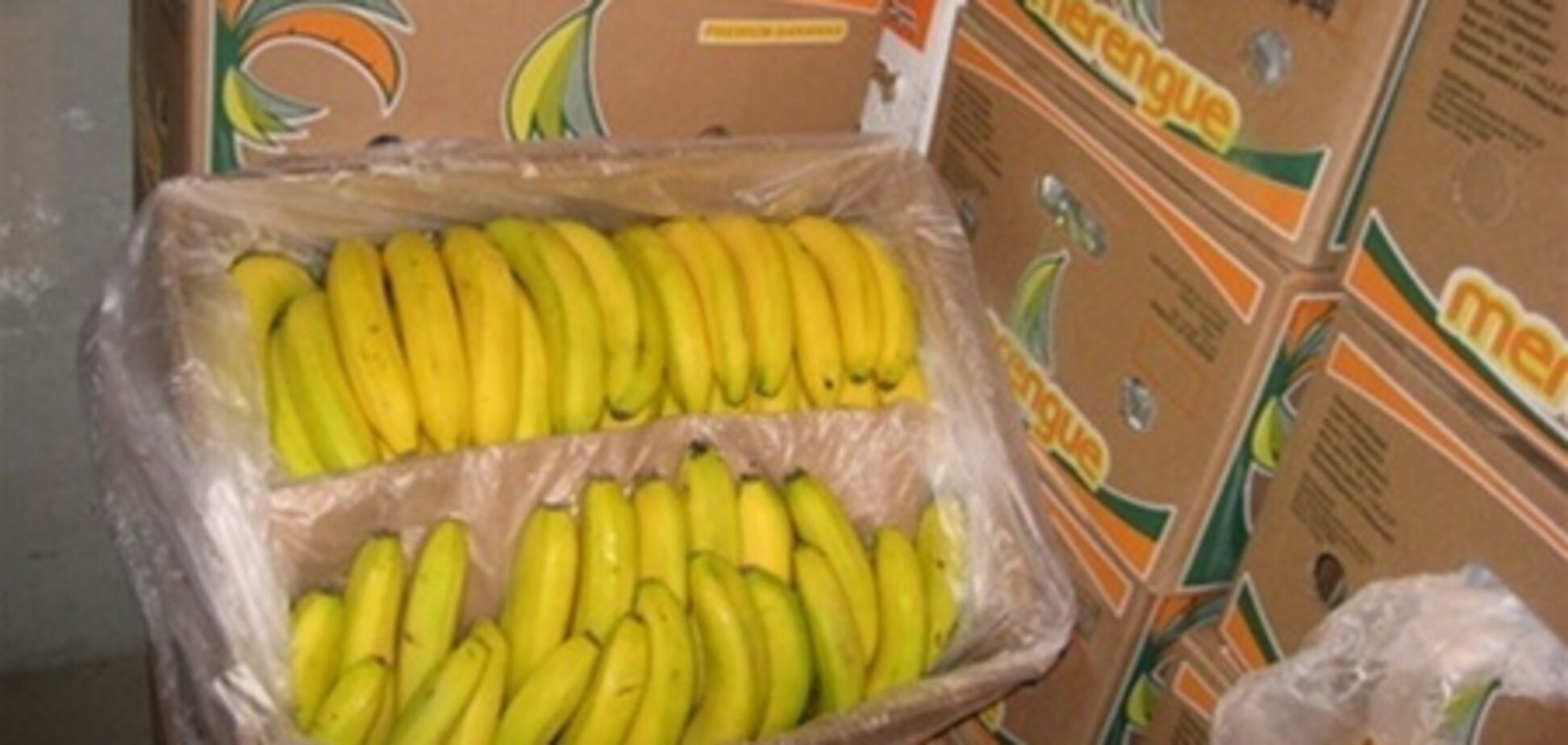 В бельгийские супермаркеты завезли бананы с кокаином
