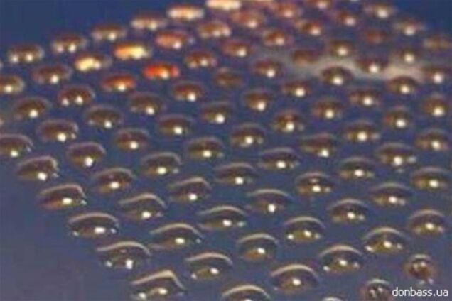 Шотландские ученые 'напечатали' 3D-клетки человека