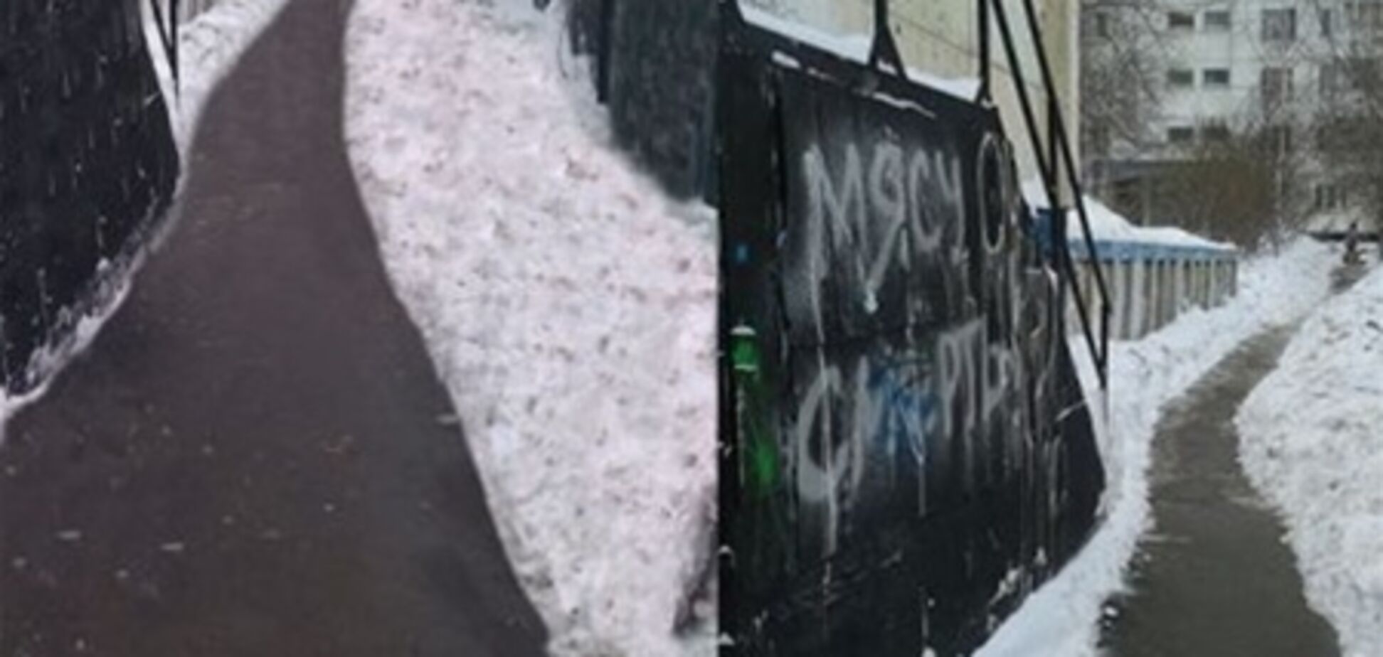 Мер Москви звільнив голову управи району за прибирання снігу 'Фотошопом'